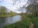 Path along river Ure between Lords Bridge and Wensley